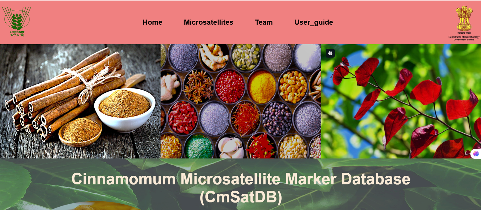 Step 1 - Access the homepage